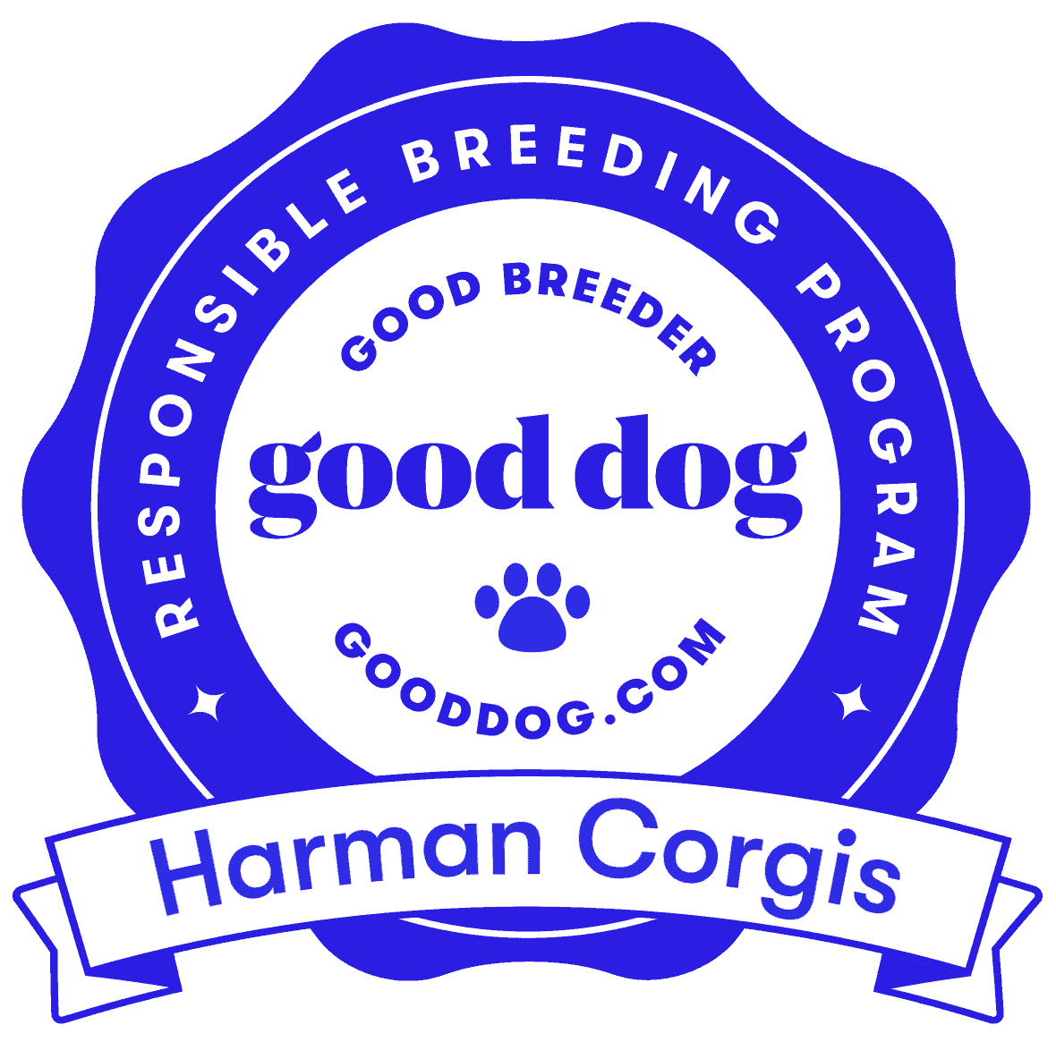 Available Corgis - Corgis I Texas Corgi Breeder I Harman Corgis