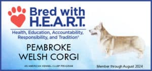 Bred with H.E.A.R.T. breeder banner for Pembroke Welsh Corgi