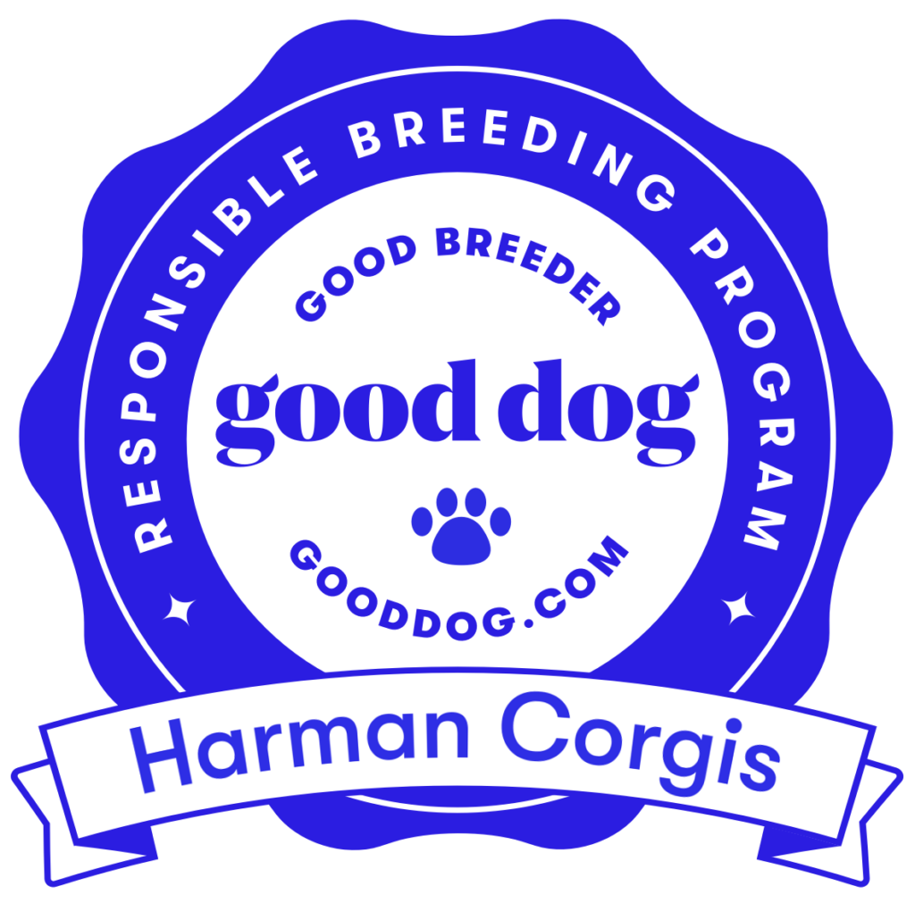 Good Dog Excellent Breeder badge for Harman Corgis.