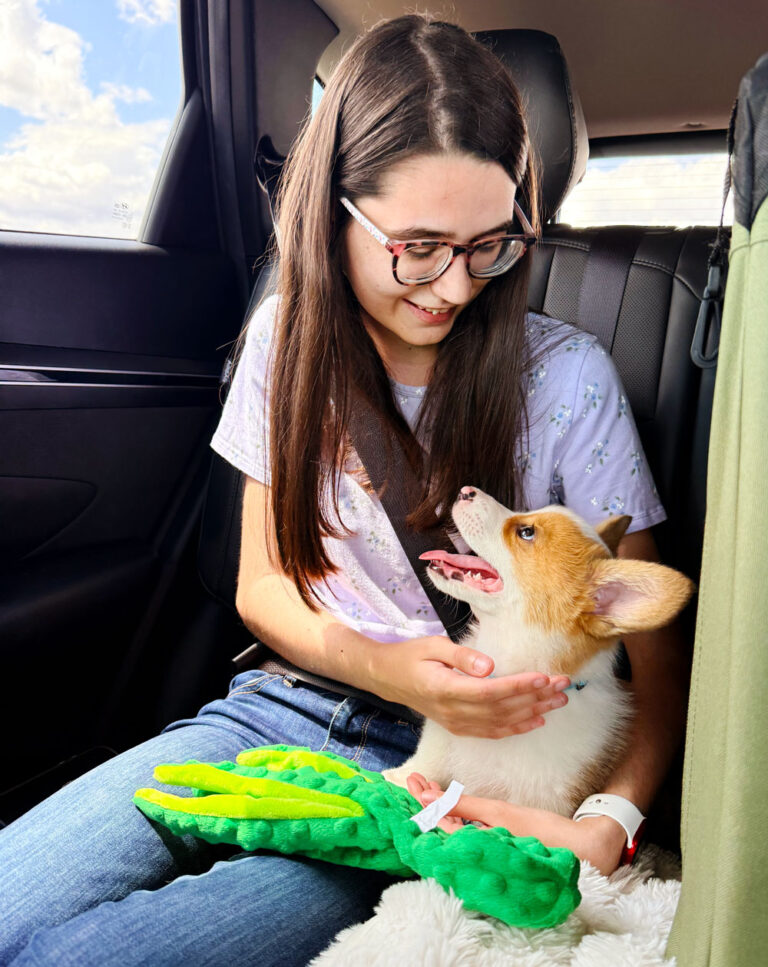 A happy customer smiling and holding her new Pembroke Welsh Corgi puppy during a pickup at Harman Corgis in Texas.