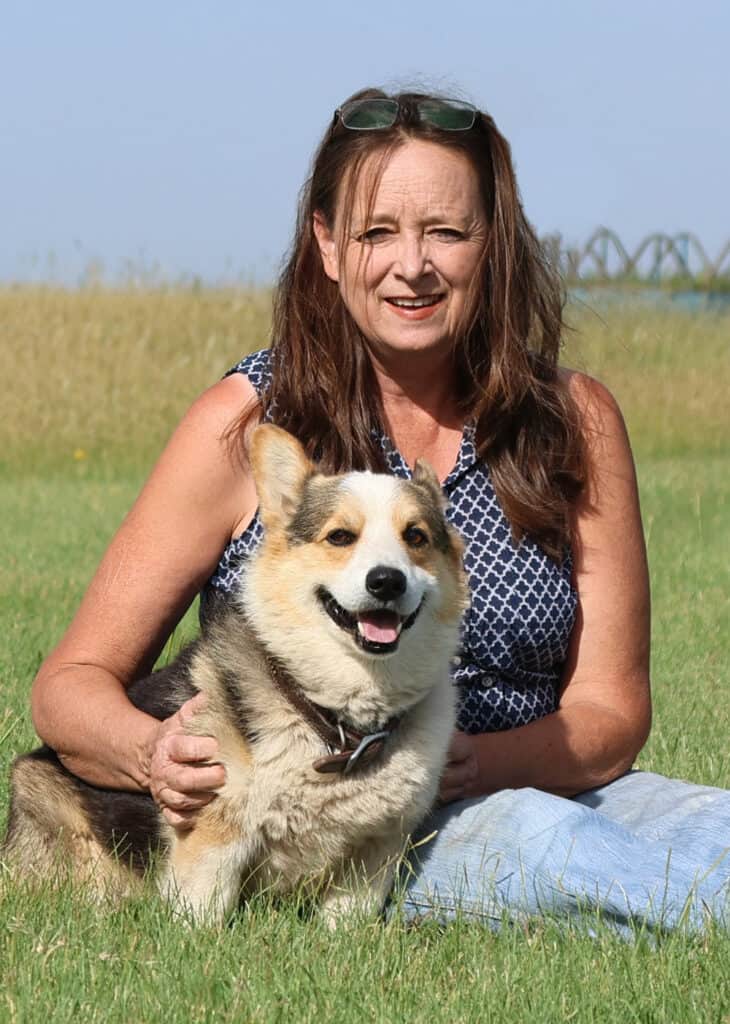 Tri colored Pembroke Welch Corgi male sitting with owner on green grass