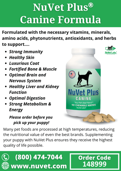 37 - NuVet Plus Canine Benefits