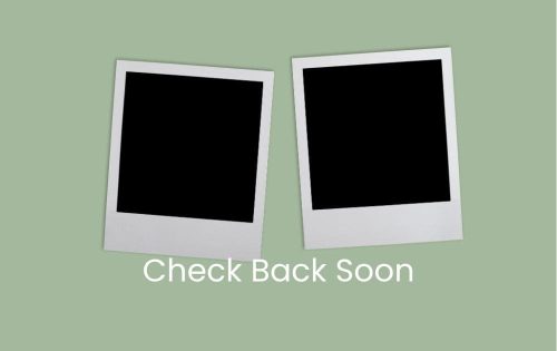 Check Back (2)